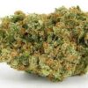 Jack Herer Weed Strain