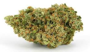 Jack Herer Weed Strain